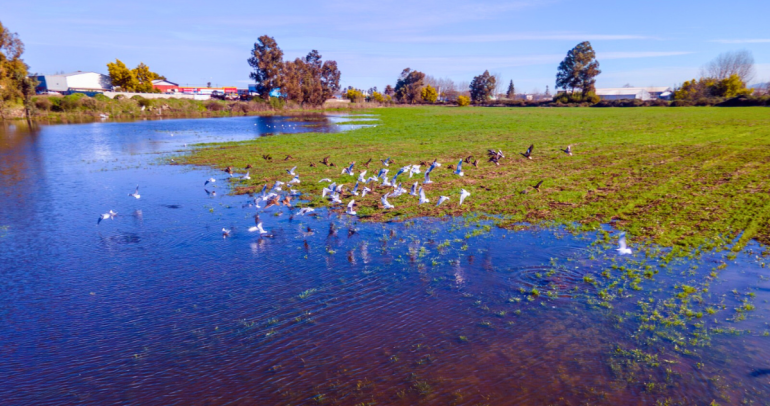 Foto: municipio