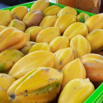 Estas son las papayas que se cosechan en Cobquecura. Foto: Facebook Municipalidad de Cobquecura