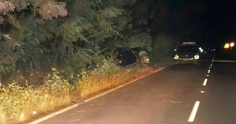 La Fiscalía continúa investigando el hecho. Foto: Carabineros Ñuble.