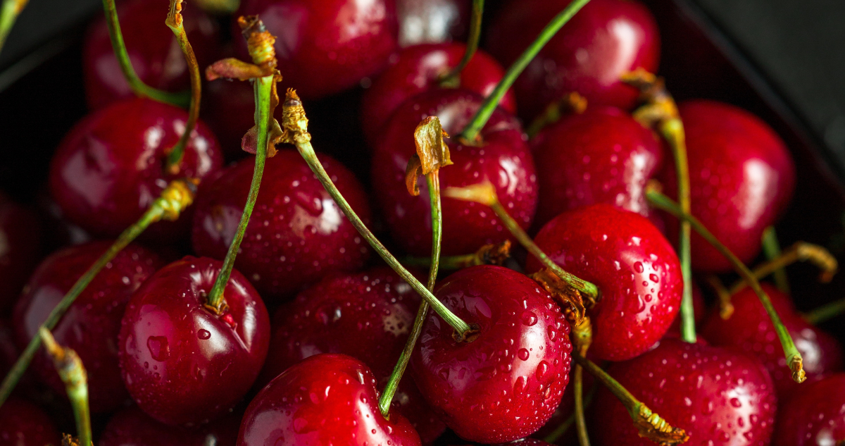 Inauguran en San Nicolás planta frutícola que podría procesar 4 mil toneladas de cerezas