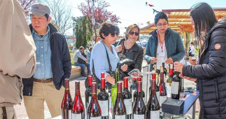 La producción vitivinícola es uno de los sellos de la comuna. Foto: Municipio.