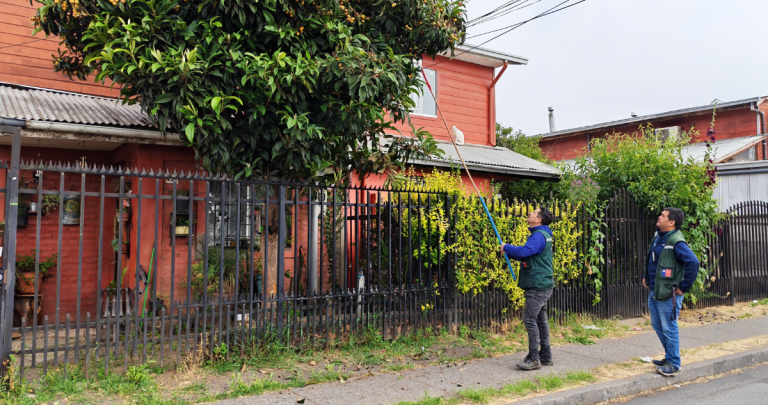 El operativo abarca sectores urbanos, rurales y semiurbanos. Foto: SAG Ñuble