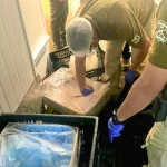 Parte de lo incautado por la policía. Foto: Carabineros.