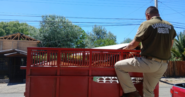 El procedimiento fue realizado por la Sección de Investigación Táctica Rural. Foto: Carabineros Ñuble.