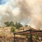Fotografía enviada por un lector desde Chillán Viejo.