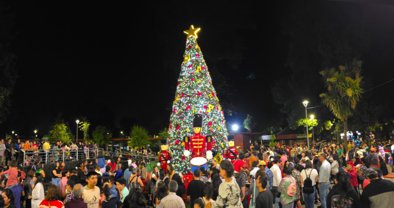 Así es el árbol instalado en El Carmen. Foto: Municipio.