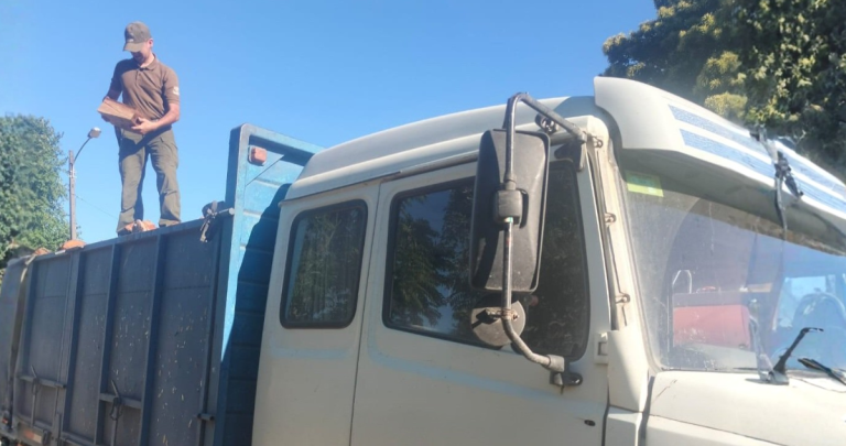 El camión con la madera robada. Foto: Carabineros Ñuble.