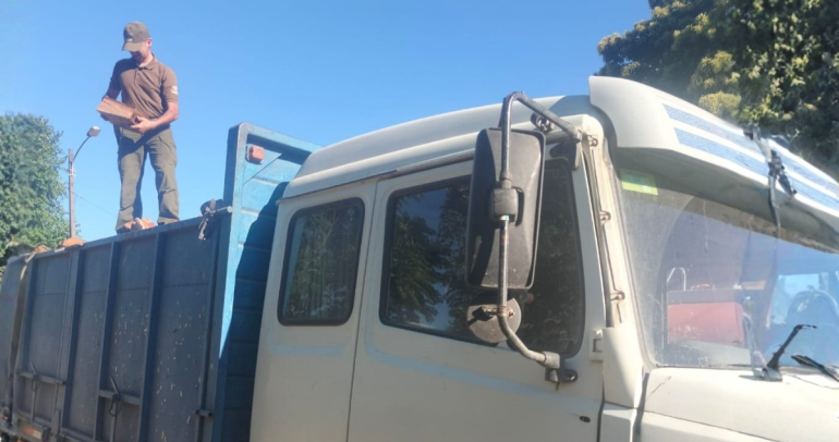 El camión con la madera robada. Foto: Carabineros Ñuble.