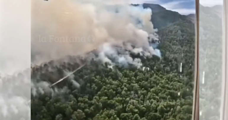 Captura de video: Vista aérea del incendio en la reserva. Foto: CONAF.