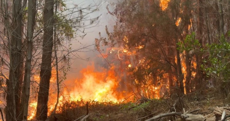 Incendio en sector Queime de Quillón. Foto: municipio.