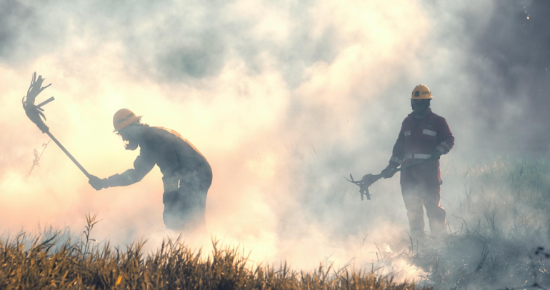 Brigadistas en una zona afectada por incendios forestales. Fotografía referencial: Pixabay.