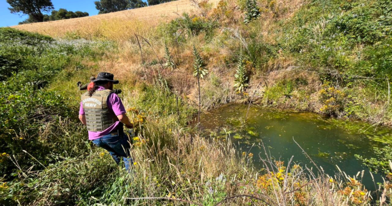 El radio de búsqueda es de 80 kilómetros. Foto: municipio.