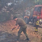 Bomberos y Carabineros trabajan en el lugar. Foto: Carabineros Ñuble.