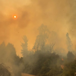 Incendio en Quillón. Foto: municipio