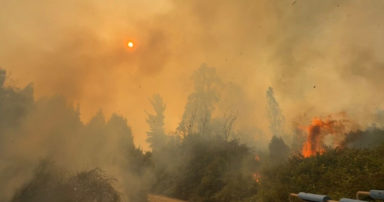 Incendio en Quillón. Foto: municipio
