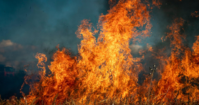 Incendio forestal. Fotografía referencial: Pixabay.
