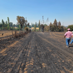 Así se ven los terrenos afectados. Foto: municipio.