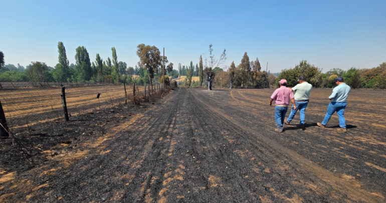Así se ven los terrenos afectados. Foto: municipio.