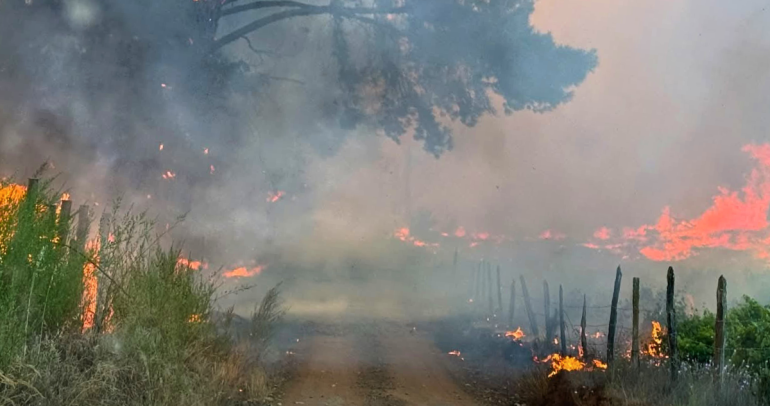 Incendio en Ránquil. Foto: Nicolás Torres.