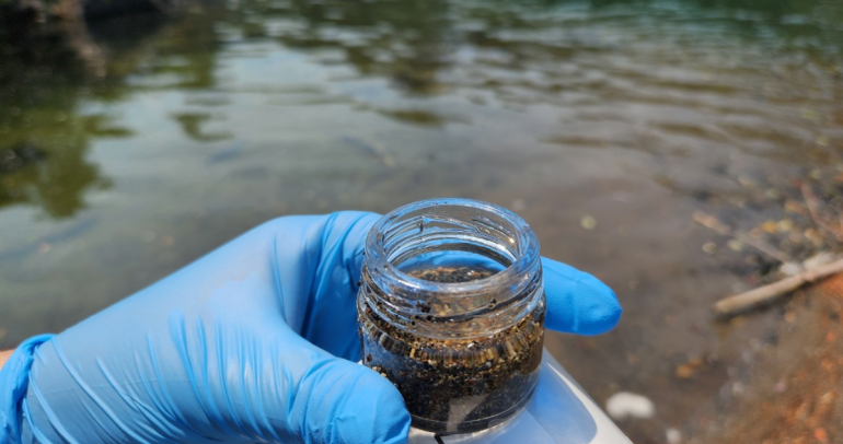 Foto: INIA Quilamapu.