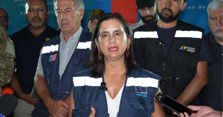 La Ministra de Agricultura, Ignacia Fernández, en un punto de prensa la noche del 19 de enero.