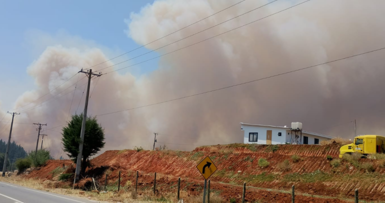 Las llamas continúan avanzando. Foto: Guillermo Escares.