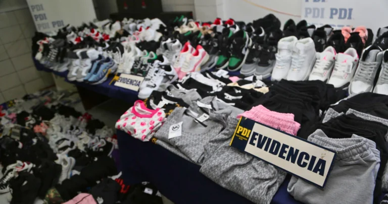 Parte de lo incautado. Foto: PDI Ñuble.