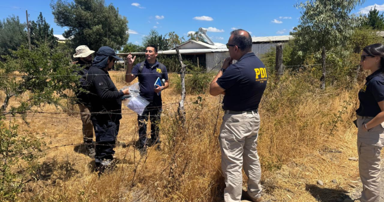 Fuerza de Tareas en terreno. Foto: PDI Ñuble
