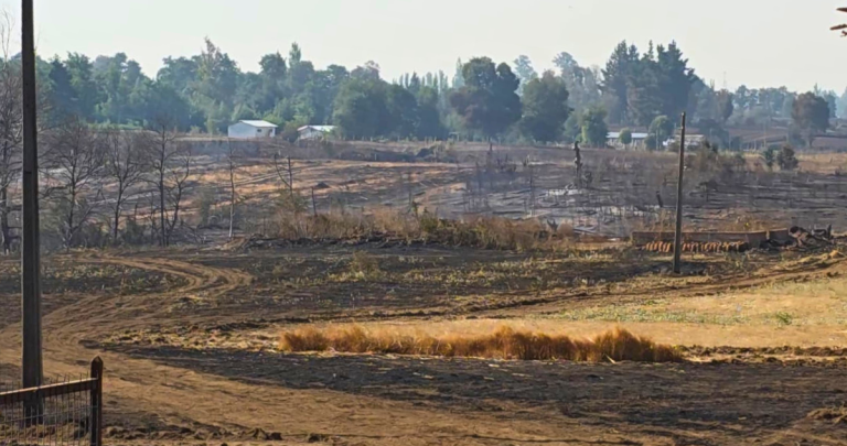Campo tras los incendios. Foto: Municipalidad de El Carmen.