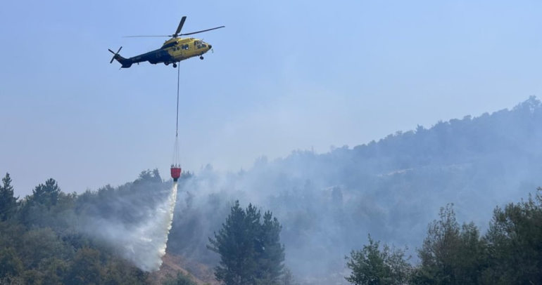 Sector Fundo la Granja, cercano a Puente Amarillo en Ránquil. Foto: municipio.