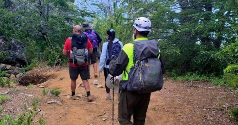Todos se encuentran en buen estado. Foto: Carabineros.