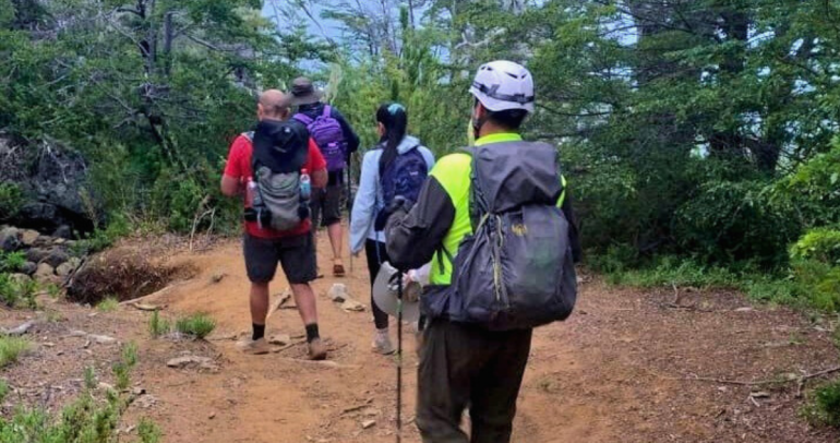 Todos se encuentran en buen estado. Foto: Carabineros.
