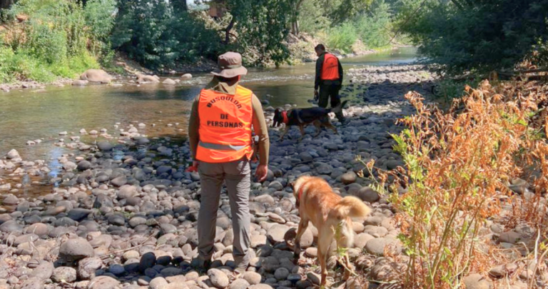 Personal desplegado. Foto: Carabineros.