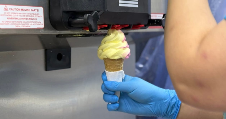 La fiscalización fue en heladerías. Foto: Seremi de Salud.