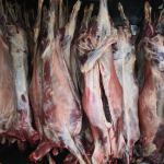 Parte de lo incautado. Foto: Carabineros Ñuble