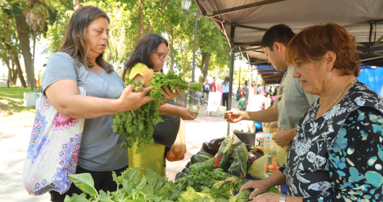 La feria se instala en la plaza de Chillán Viejo. Foto: Municipio.