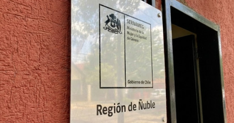 Frontis del SernamEg en Chillán. Recreación con IA a partir de una foto real.