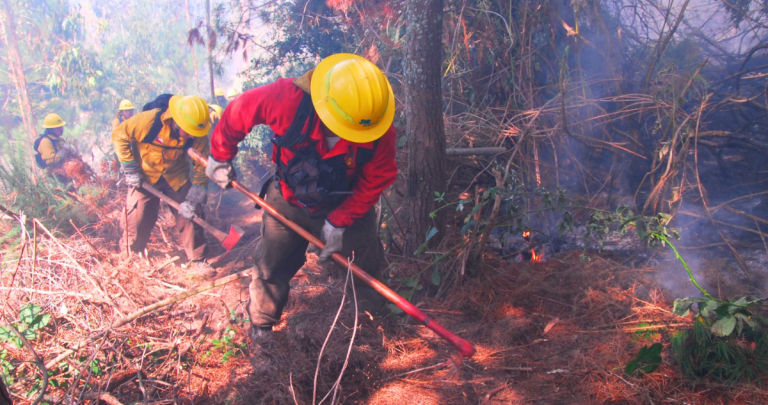 Reconstrucción. Foto de referencia: Gobierno de Chile.