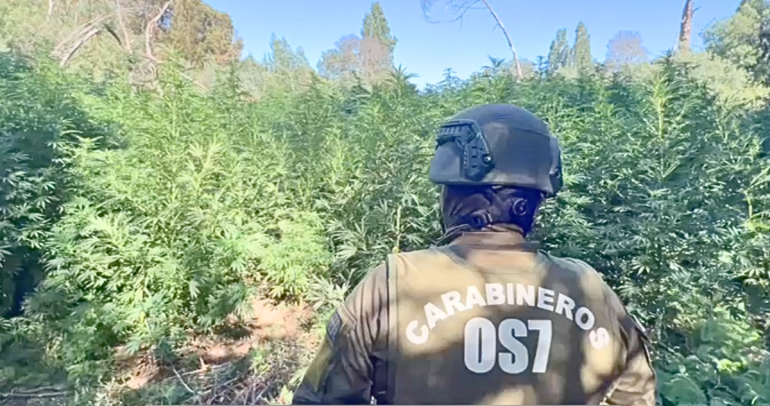 Foto del procedimiento: Carabineros Ñuble.