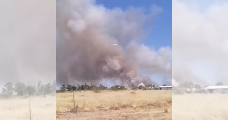 El foco en San Nicolás. Foto: Cuerpo de Bomberos de San Carlos.