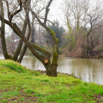 Laguna El Indio. Foto: municipio