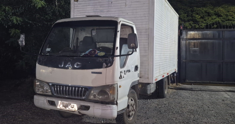 Camión involucrado. Foto: PDI Ñuble.