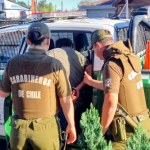 El detenido. Foto: Carabineros Ñuble.