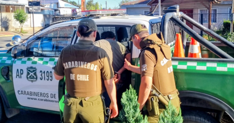 El detenido. Foto: Carabineros Ñuble.