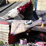 Ruco. Foto de archivo: Municipalidad de Chillán