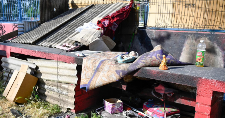 Ruco. Foto de archivo: Municipalidad de Chillán