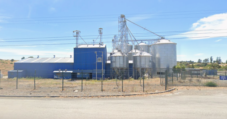 Agrícola y Ganadera Chillán Viejo. Foto: Google Street View.