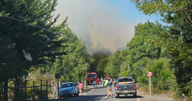 Avance de las llamas: Municipalidad de Ránquil.