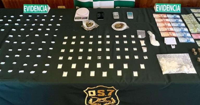 Parte de lo incautado. Foto: Carabineros Ñuble