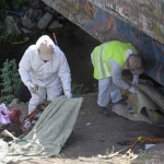 Limpieza del estero. Foto: municipio.